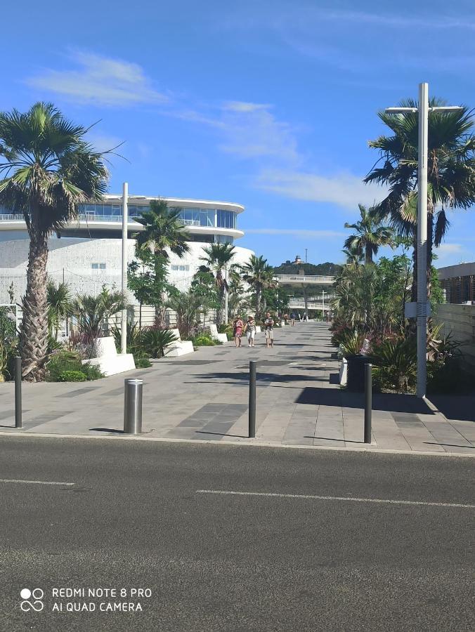 Port Studio Piscine, Parking, Prive,Navette Aeroport Agde Dış mekan fotoğraf
